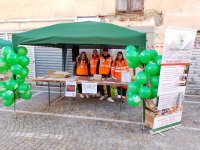 Croce Verde di Piscina ODV